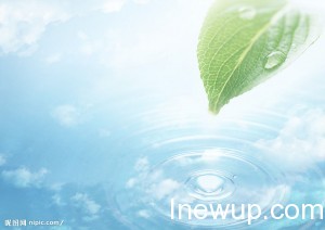 小清新