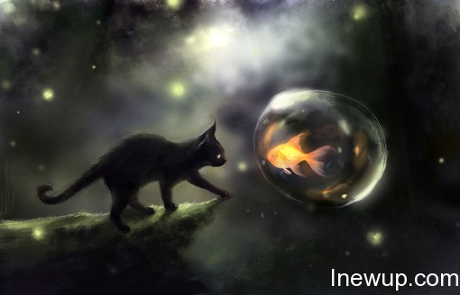 唯美图片：听说金鱼的记忆只有7秒| inewup.com