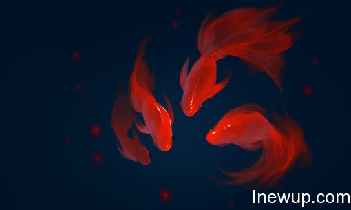 唯美图片：听说金鱼的记忆只有7秒| inewup.com