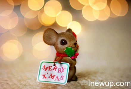 每日一笑:你阉了我,现在后悔了吗?| jiaren.org