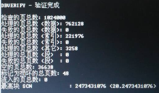 oraclebadblock4